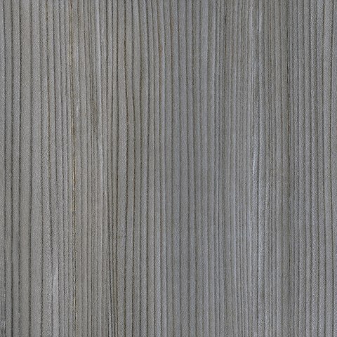 CHURUQUELLA GRIS